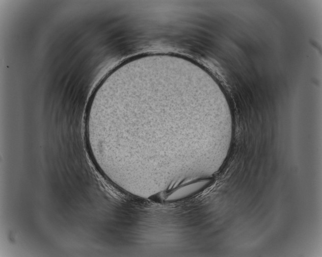 X0000097771183200804041145