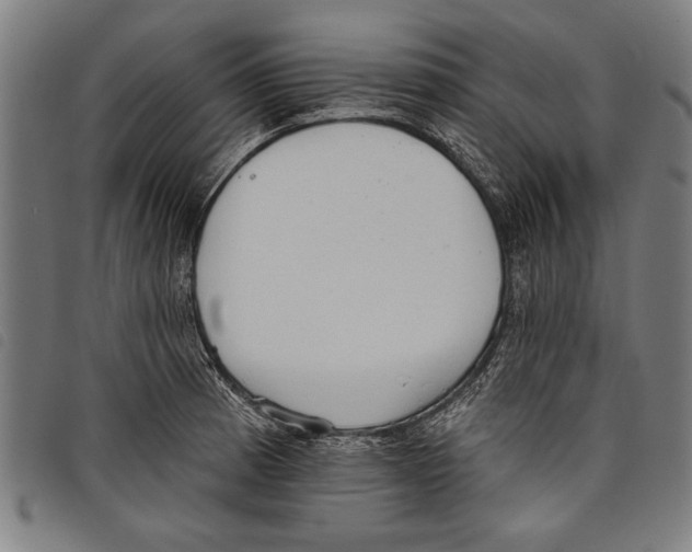 X0000097771185200804041145