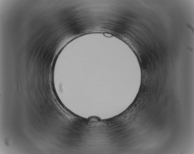 X0000097771187200804041145