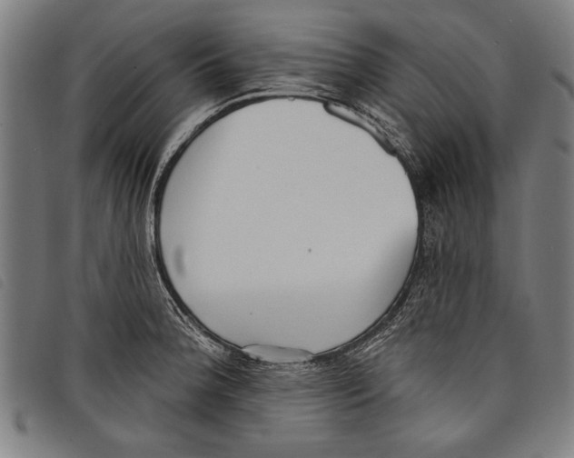 X0000097771188200804041145