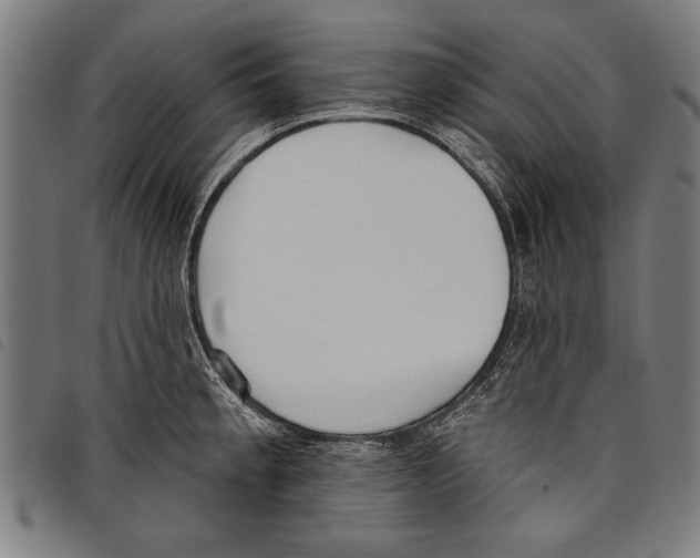 X0000097771189200804041145
