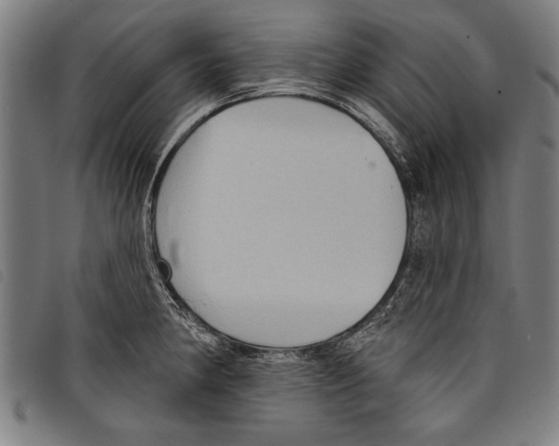 X0000097771190200804041145