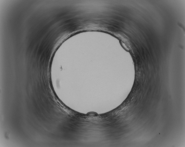 X0000097771191200804041145