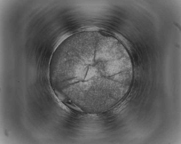 X0000097771194200804041145