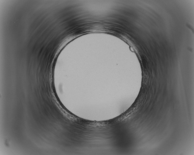 X0000097771195200804041145