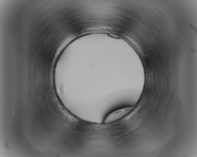 X0000097771196200804041145