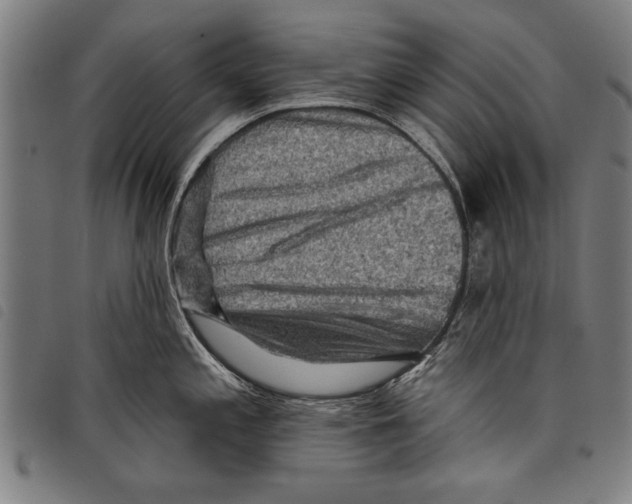 X0000097771197200804041145