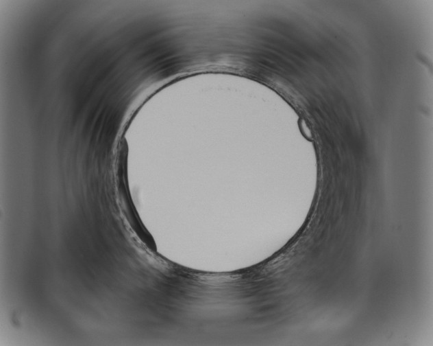 X0000097771200200804041145