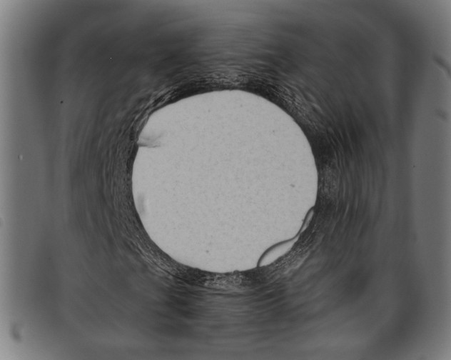 X0000097771201200804041145