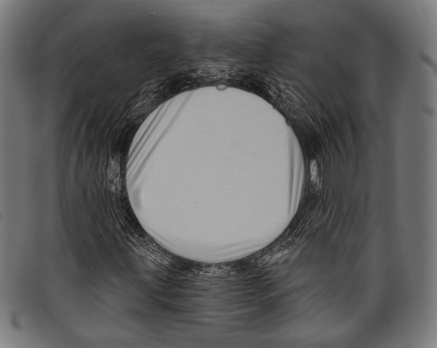 X0000097771203200804041145