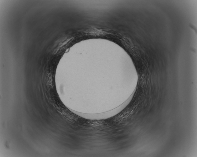 X0000097771205200804041145