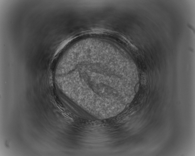 X0000097771208200804041145