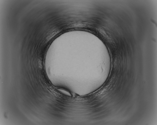 X0000097771209200804041145