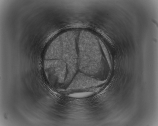 X0000097771213200804041145