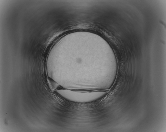 X0000097771214200804041145