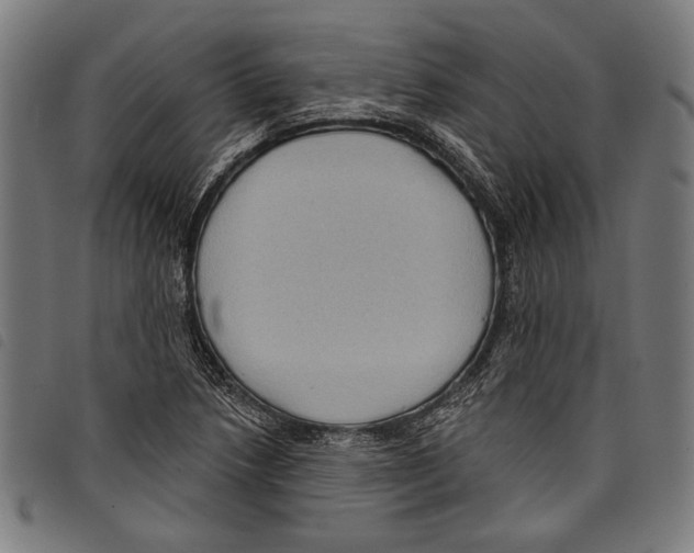 X0000097771218200804041145