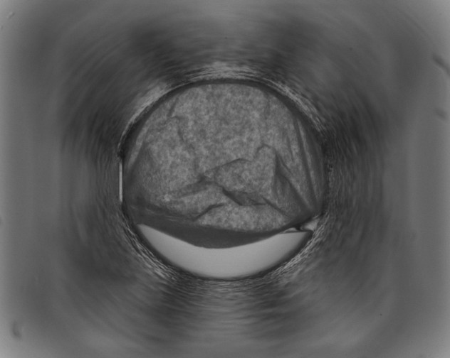 X0000097771219200804041145