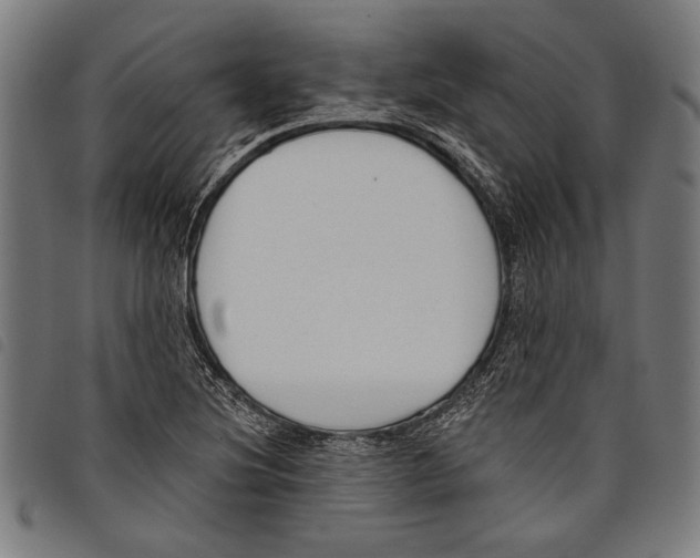 X0000097771220200804041145