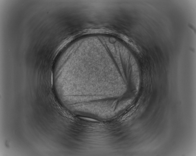 X0000097771221200804041145