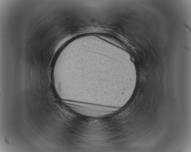 X0000097771222200804041145