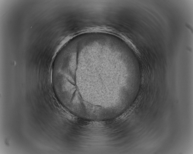 X0000097771224200804041145