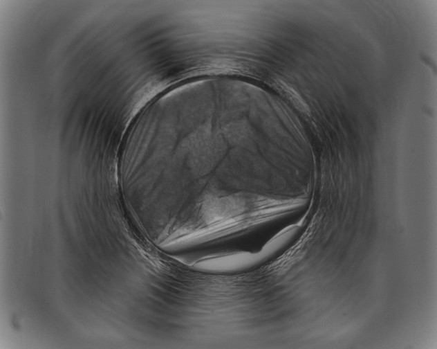 X0000097771226200804041145