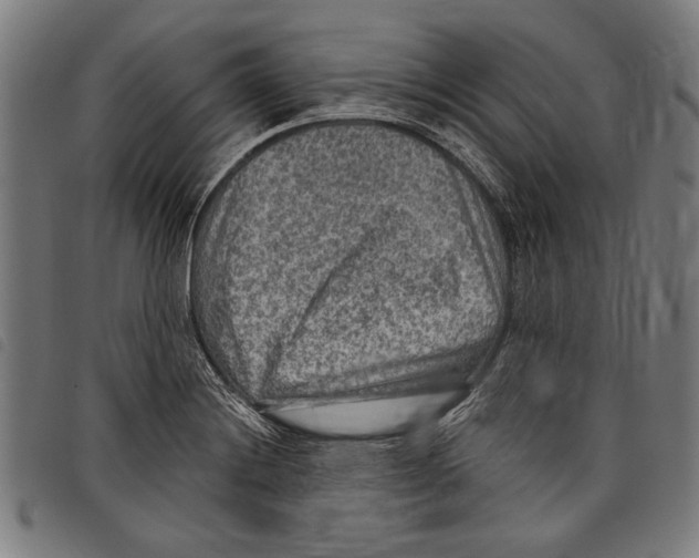 X0000097771228200804041145