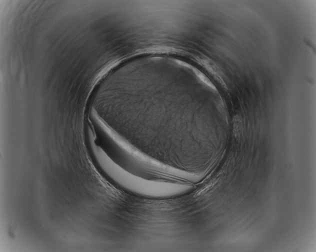 X0000097771229200804041145