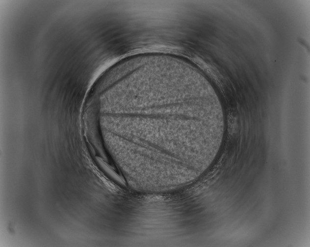 X0000097771230200804041145