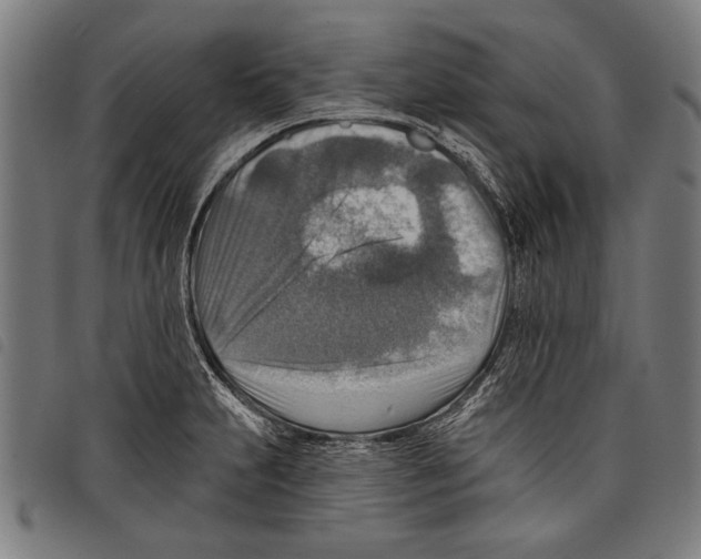 X0000097771231200804041145