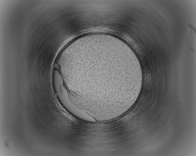X0000097771232200804041145