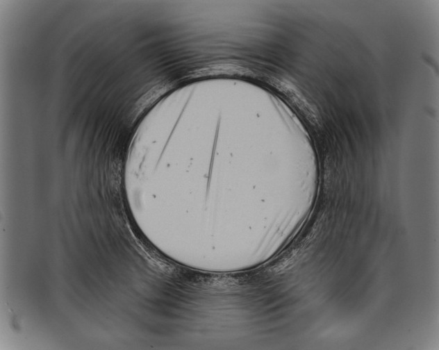 X0000097771233200804041145