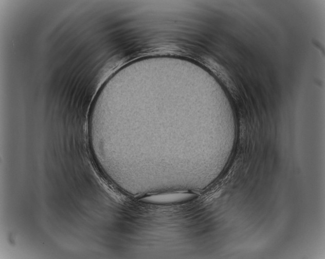 X0000097771234200804041145