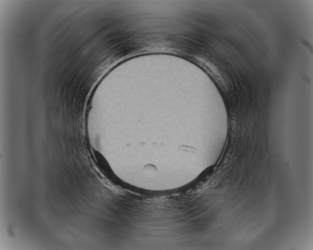 X0000097771236200804041145