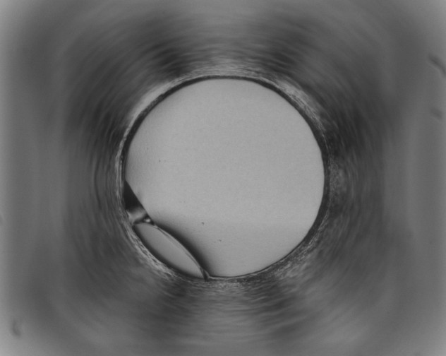 X0000097771238200804041145