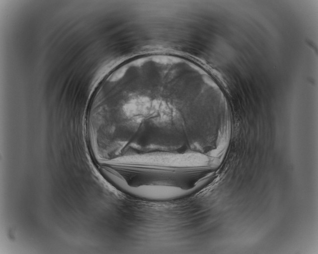 X0000097771239200804041145