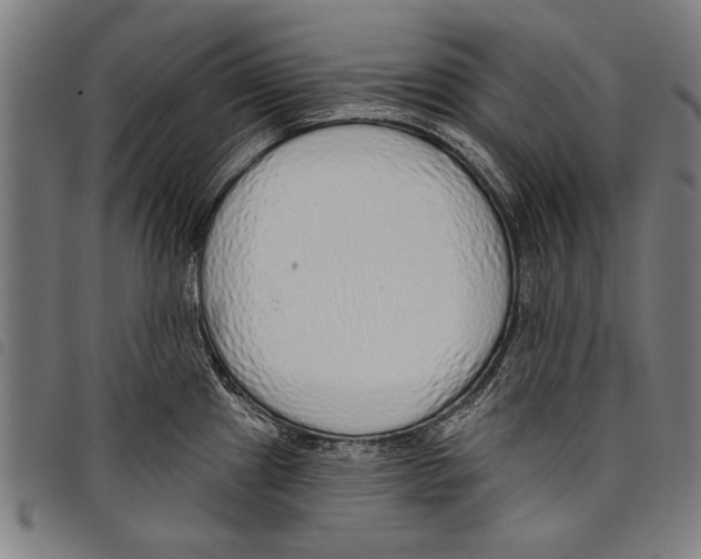 X0000097771241200804041145