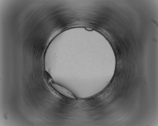 X0000097771242200804041145