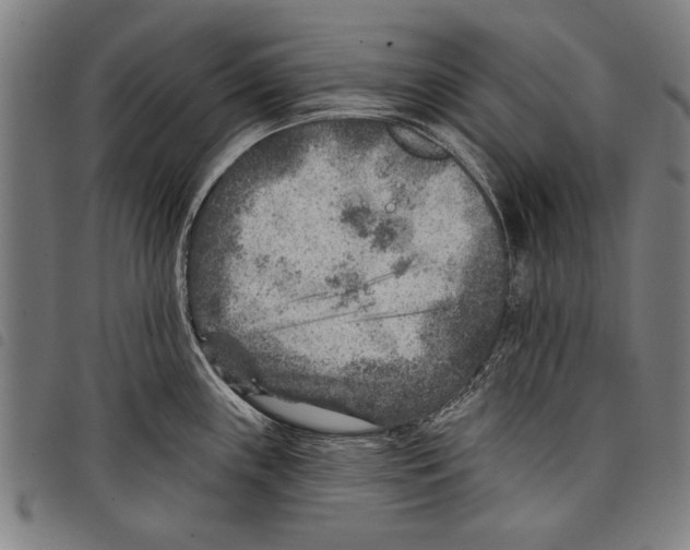 X0000097771243200804041145