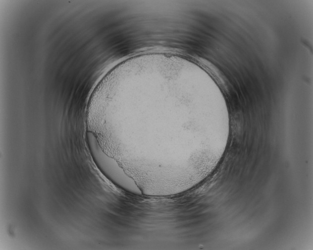 X0000097771244200804041145