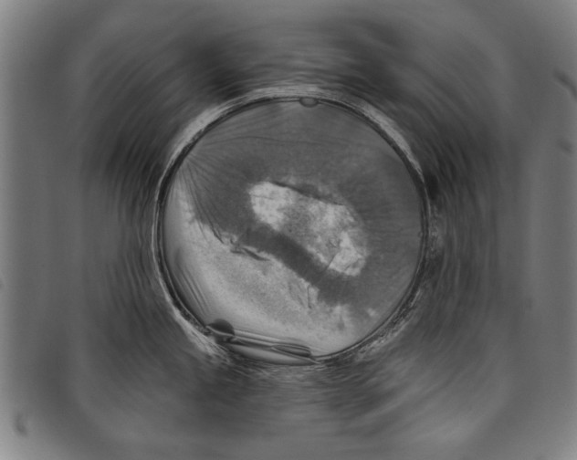X0000097771245200804041145