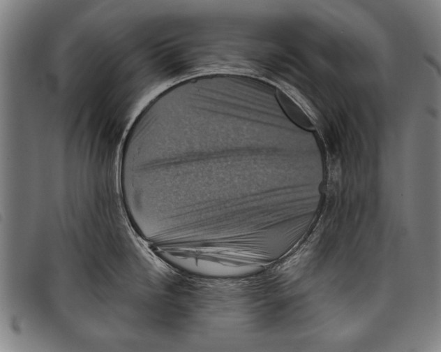 X0000097771246200804041145