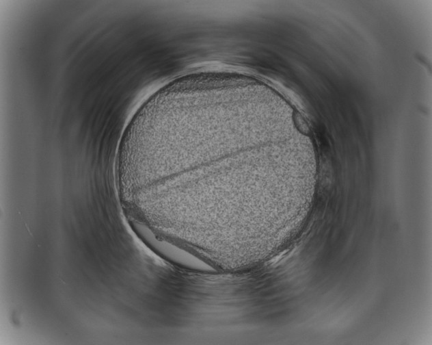 X0000097771247200804041145