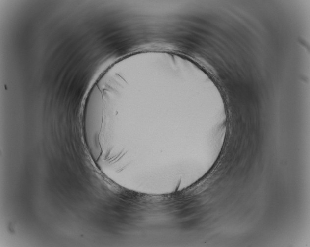 X0000097771248200804041145