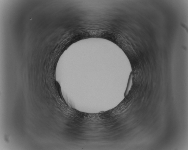 X0000097771249200804041145