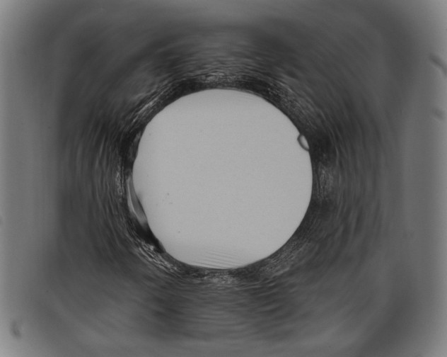 X0000097771250200804041145