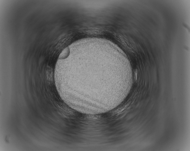X0000097771251200804041145