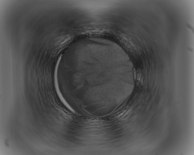 X0000097771252200804041144