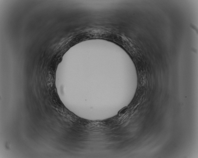 X0000097771253200804041144