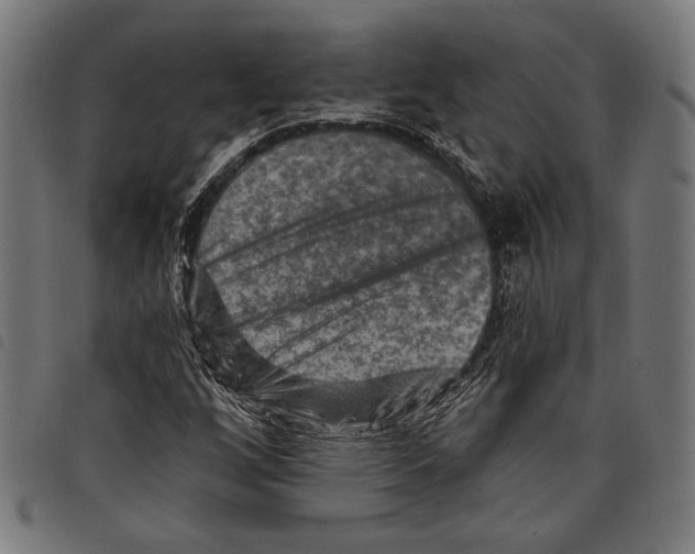 X0000097771256200804041144
